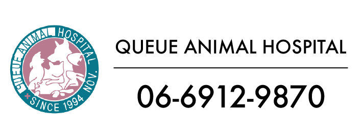 QUEUE ANIMAL HOSPITAL