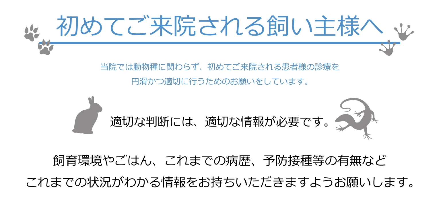 大阪 クウ動物病院 エキゾチックアニマル 鶴見 ウサギ 鳥 爬虫類 フェレット